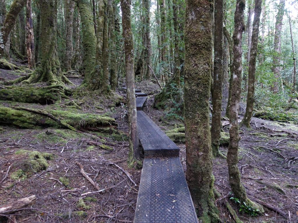 131 - 20170123 Cradle Mountain