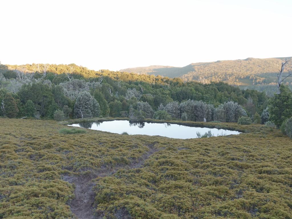 136 - 20170123 Cradle Mountain