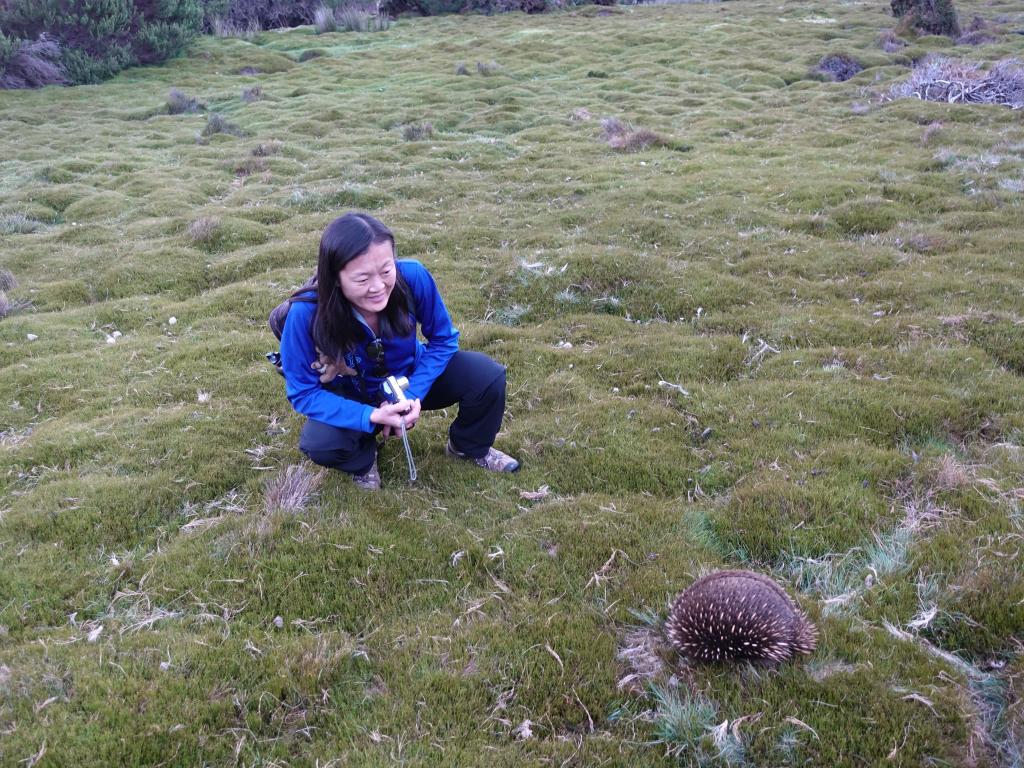 148 - 20170123 Cradle Mountain