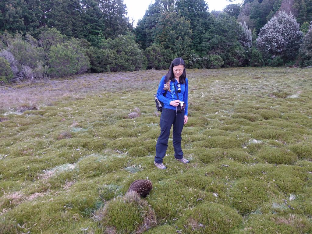 155 - 20170123 Cradle Mountain