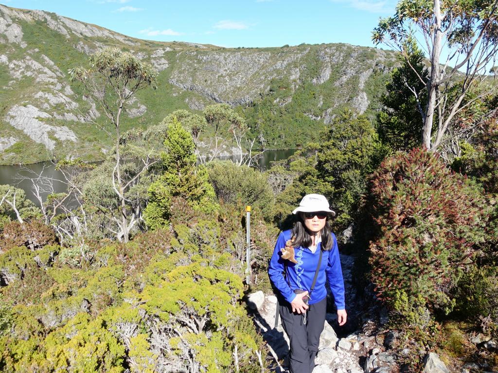 197 - 20170123 Cradle Mountain