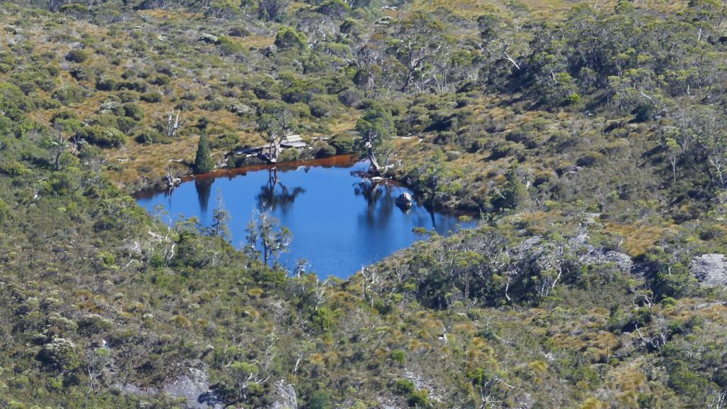 221 - 20170123 Cradle Mountain