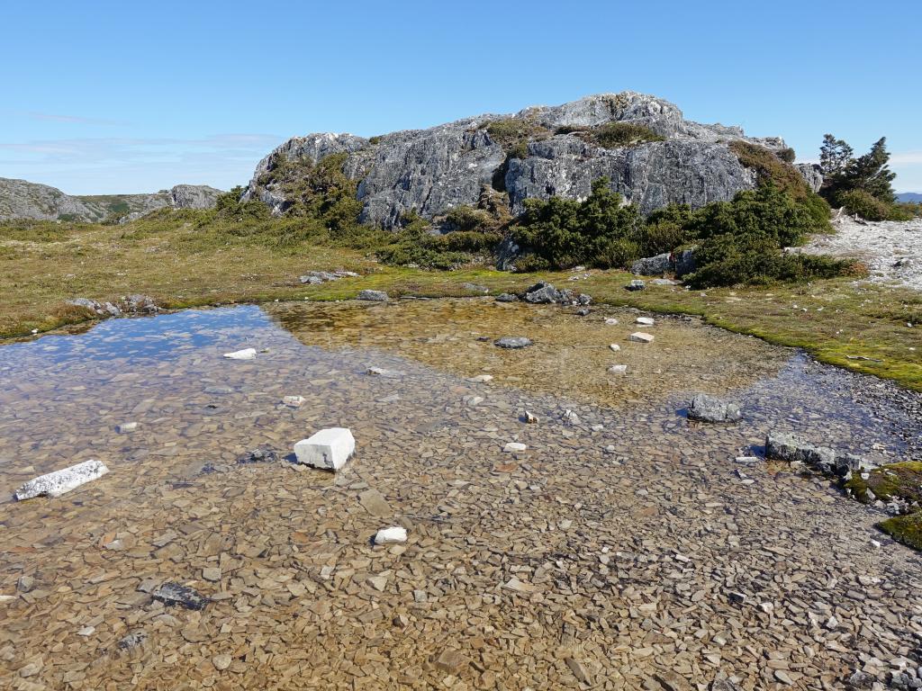 234 - 20170123 Cradle Mountain