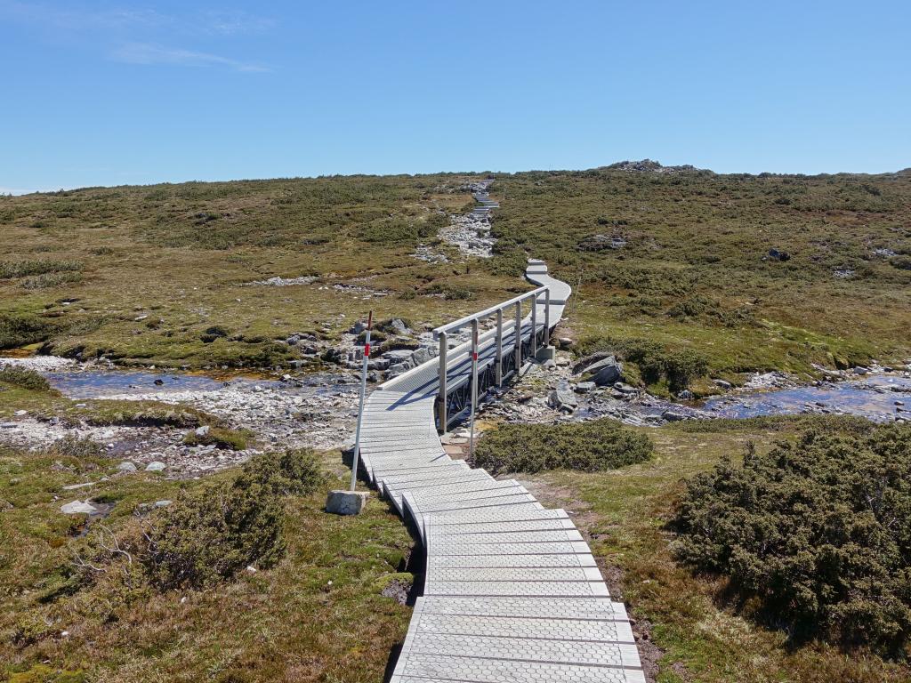 236 - 20170123 Cradle Mountain