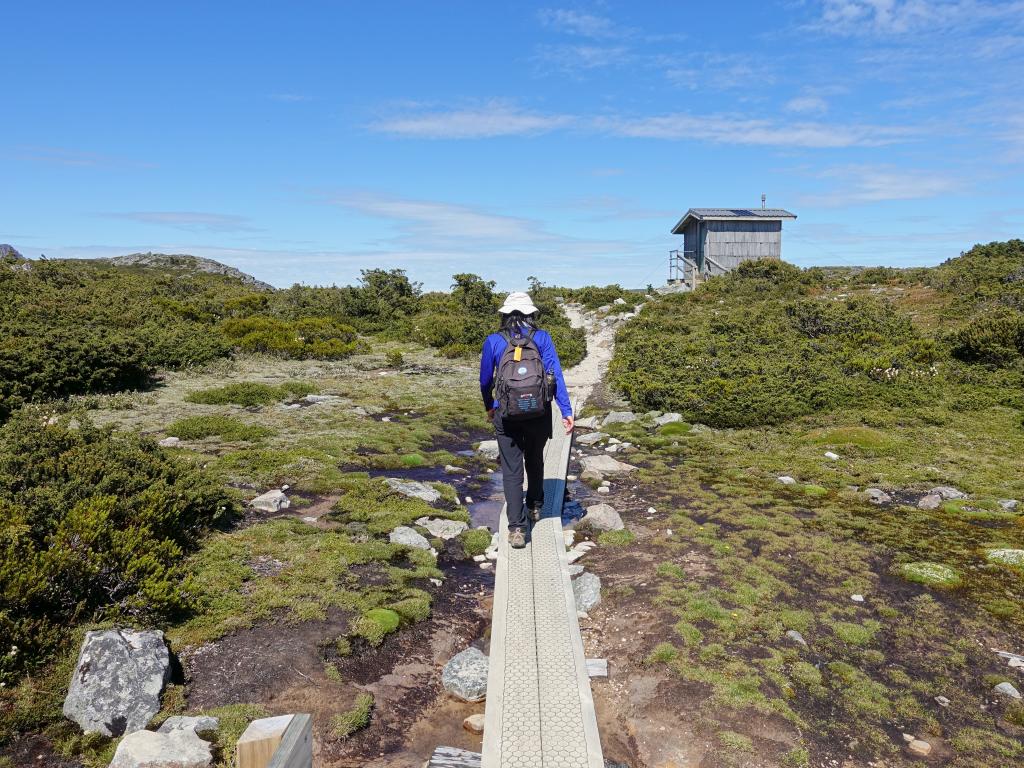 242 - 20170123 Cradle Mountain