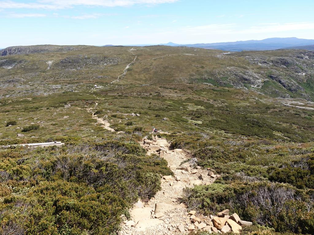 244 - 20170123 Cradle Mountain