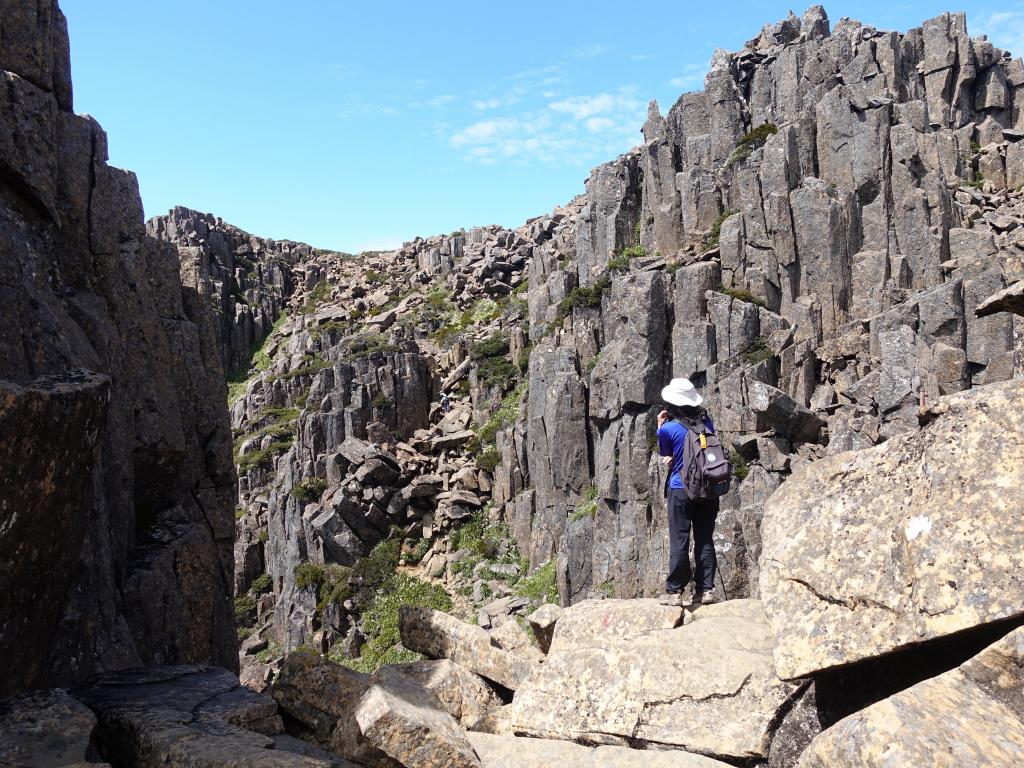 256 - 20170123 Cradle Mountain