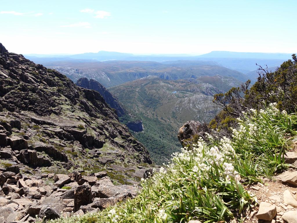 259 - 20170123 Cradle Mountain