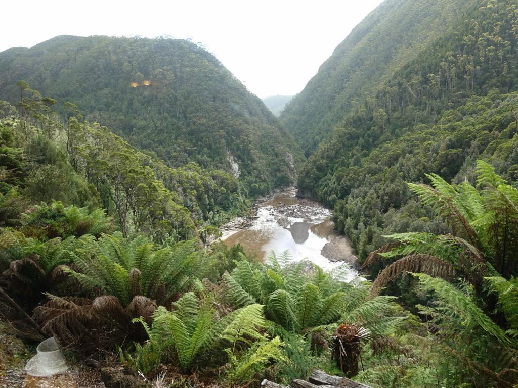 169 - 20170125 Queenstown-Back