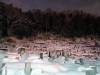 159 - 20170201 Yudanaka Shibu Onsen