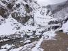155 - 20170203 Jigokudani Yaen-Koen