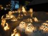152 - 20170208 Otaru Snow Light Path