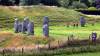 147 - 20170727 Bath Avebury Stonehenge