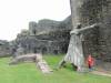 118 - 20170729 Tintern Caerphilly Cardiff