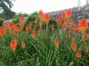 160 - 20170729 Tintern Caerphilly Cardiff