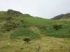 154 - 20170802 Caernarfon Snowdon