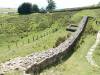 171 - 20170805 Keswick Hadrian Wall Durham