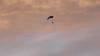 176 - 20170820 Madras Eclipse
