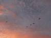 184 - 20170820 Madras Eclipse