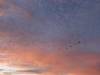 185 - 20170820 Madras Eclipse