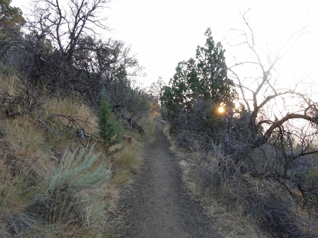 191 - 20170821 Lava Beds NP