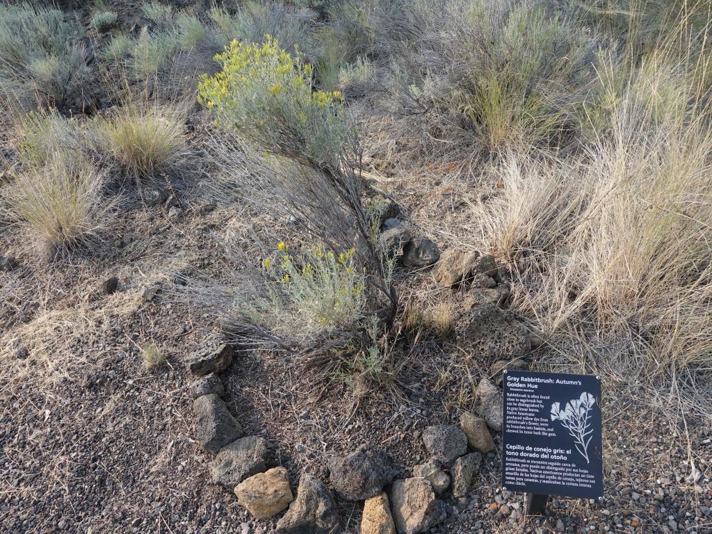 244 - 20170821 Lava Beds NP