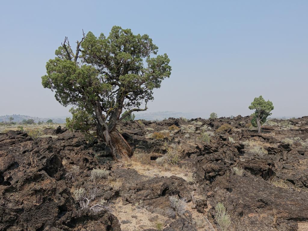 330 - 20170821 Lava Beds NP