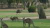 140 - 20171009 Day03 Toowoomba Surat Charleville