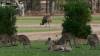 143 - 20171009 Day03 Toowoomba Surat Charleville