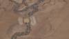 148 - 20171010 Day04 Charleville Windorah Birdville