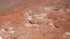 101 - 20171012 Day06 Coober Pedy