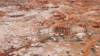 110 - 20171012 Day06 Coober Pedy