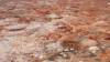111 - 20171012 Day06 Coober Pedy
