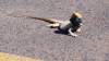 120 - 20171012 Day06 Coober Pedy