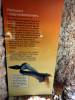 137 - 20171012 Day06 Coober Pedy