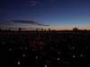 151 - 20171014 Field of Light Sunrise