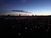 152 - 20171014 Field of Light Sunrise