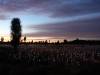 153 - 20171014 Field of Light Sunrise