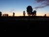 154 - 20171014 Field of Light Sunrise