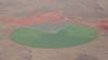 115 - 20171018 Day12-13 Adels Grove