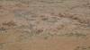 139 - 20171018 Day12-13 Adels Grove