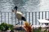 287 - 20171028 Brisbane