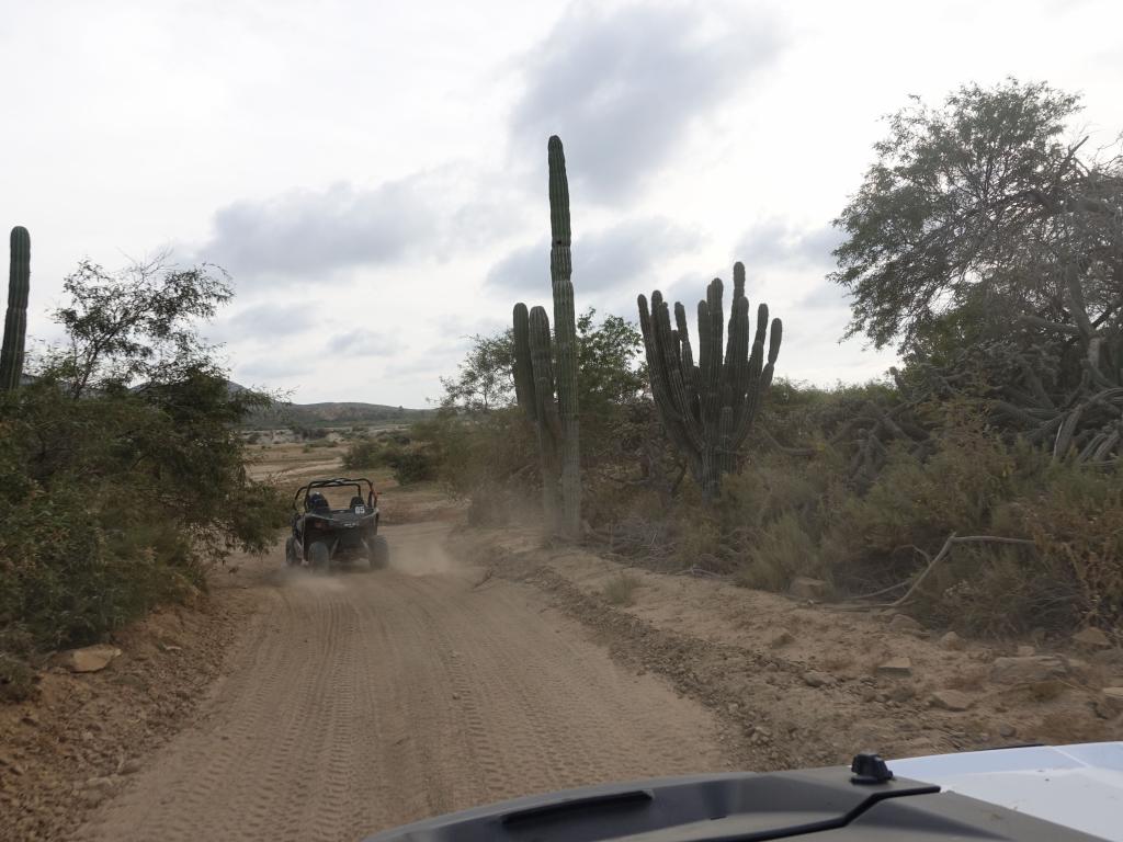 211 - Cactus ATV Tours