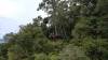 292 - 20180530 Puerto Princesa Sabang Zipline