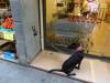 385 - 20180925 Day02 Barcelona