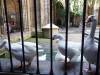 576 - 20180926 Day03 Barcelona