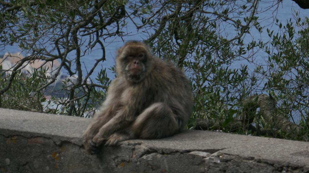 321 - 20181001 Day08 Gibraltar