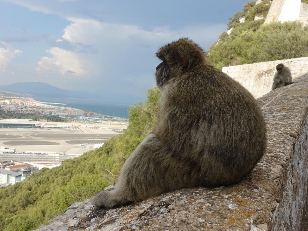 539 - 20181001 Day08 Gibraltar