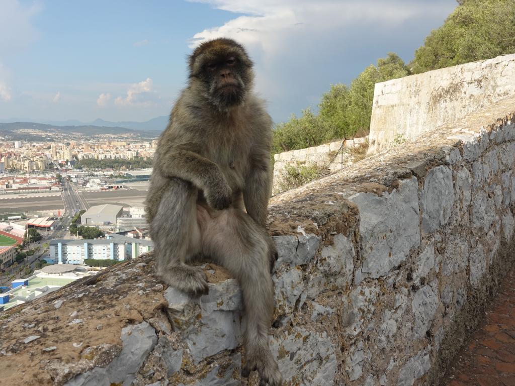 550 - 20181001 Day08 Gibraltar