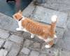 111 - 20181002 Day09 Tarifa Tangier